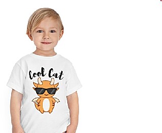Cool Cat Collection